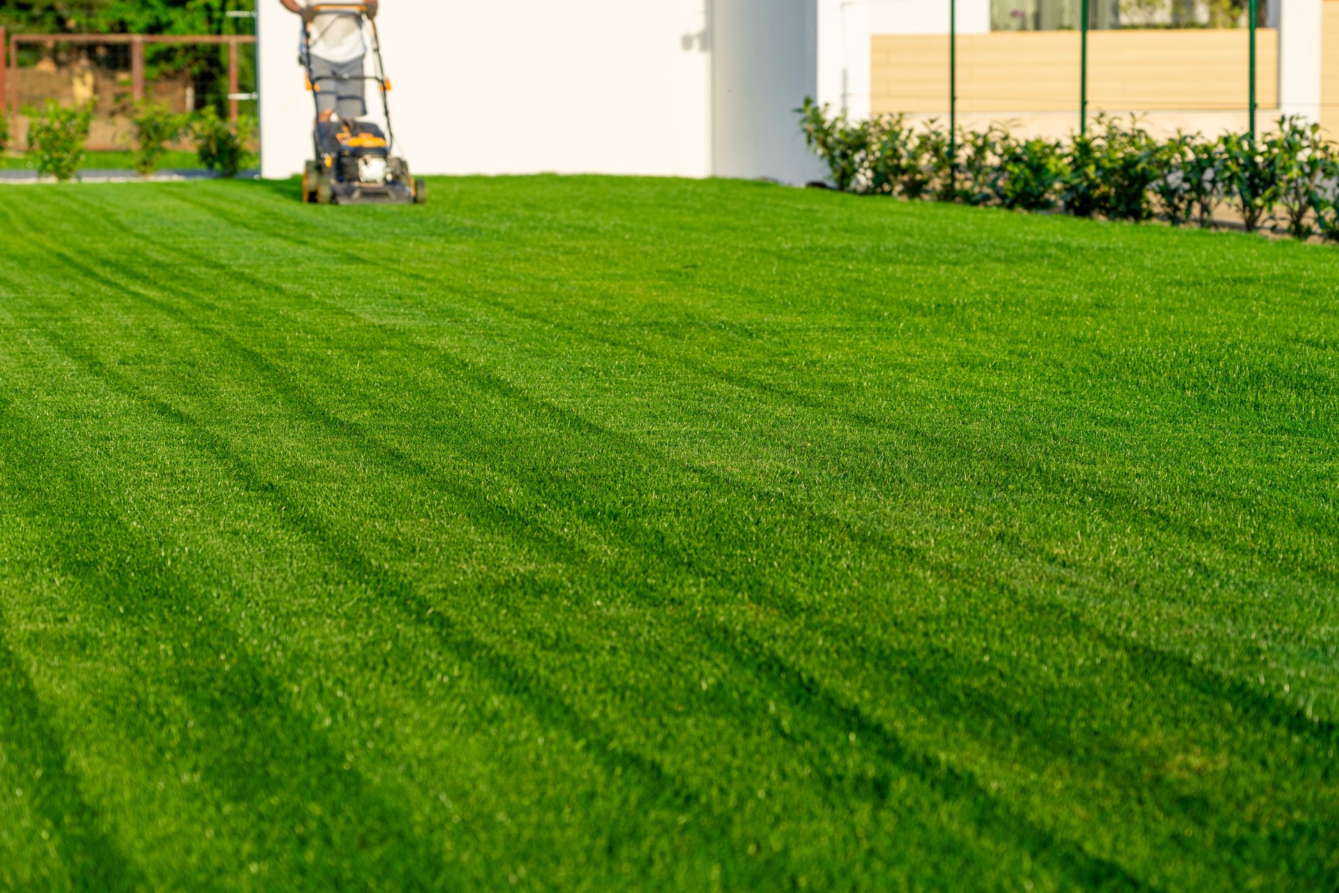 green grass cutting with lawn mower in home garden green grass cutting with lawn mower in home garden